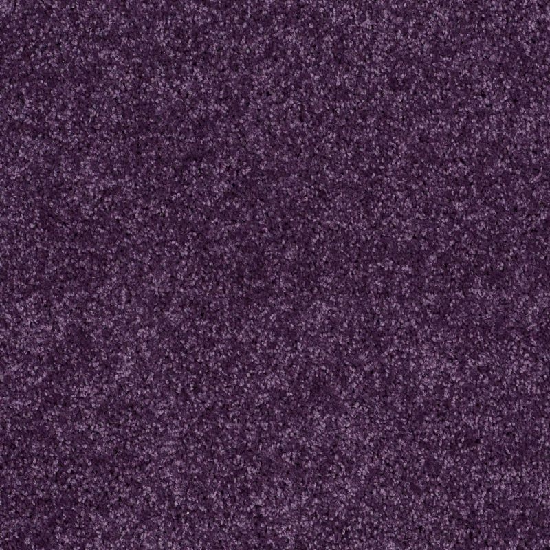 Shaw Floors Full Court 12' Grape Slushy