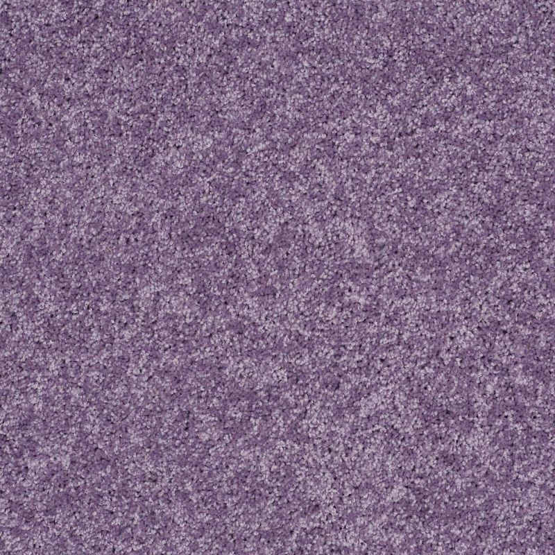 Shaw Floors Shaw Flooring Gallery Kid's Club Lolli Pop