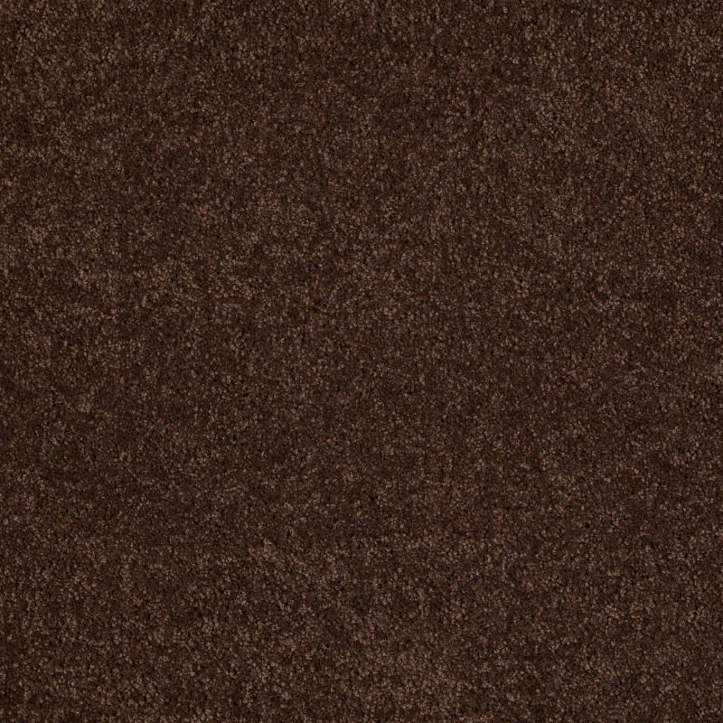 Shaw Floors Shaw Flooring Gallery Grand Image III Apple Butter