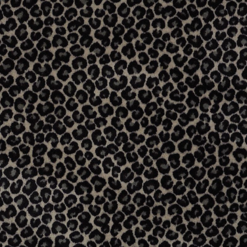 Philadelphia Commercial Call Of The Wild Cheetah Go Getter