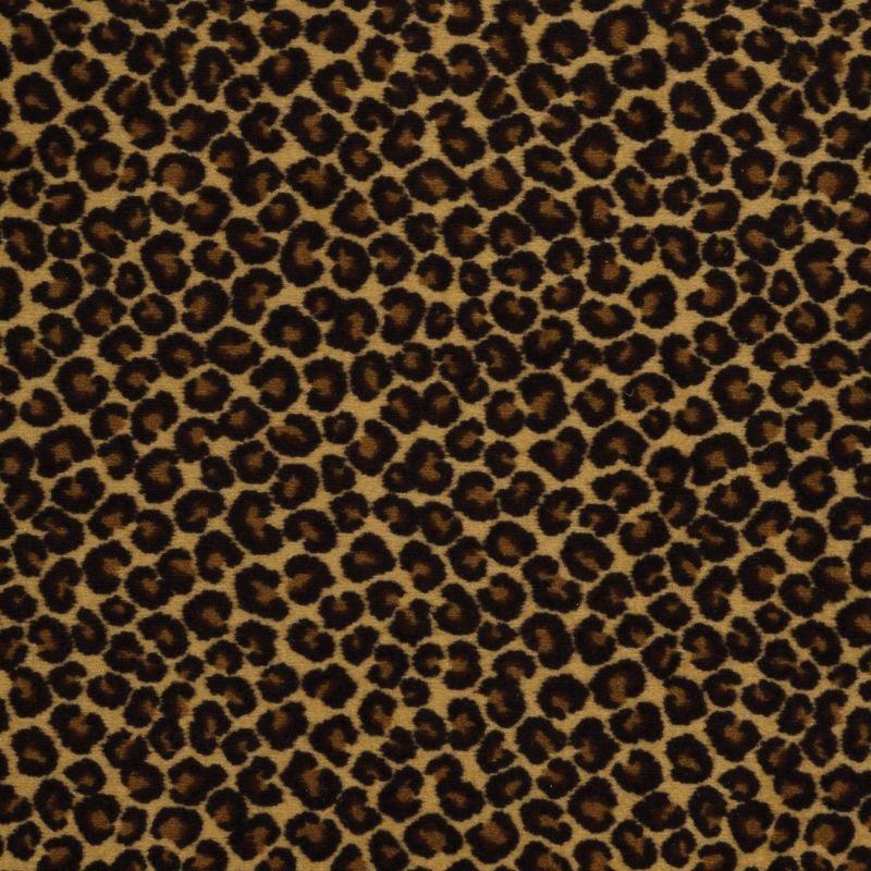 Philadelphia Commercial Call Of The Wild Cheetah Keep The Pace