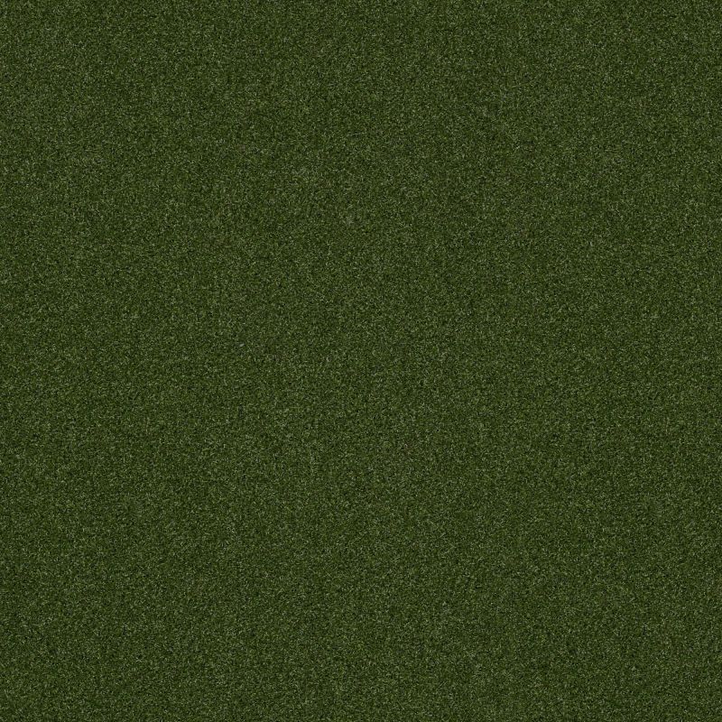 Philadelphia Commercial Performance Turf Agility 5mm Green