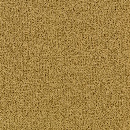 Philadelphia Commercial Color Accents Bl Brasserie