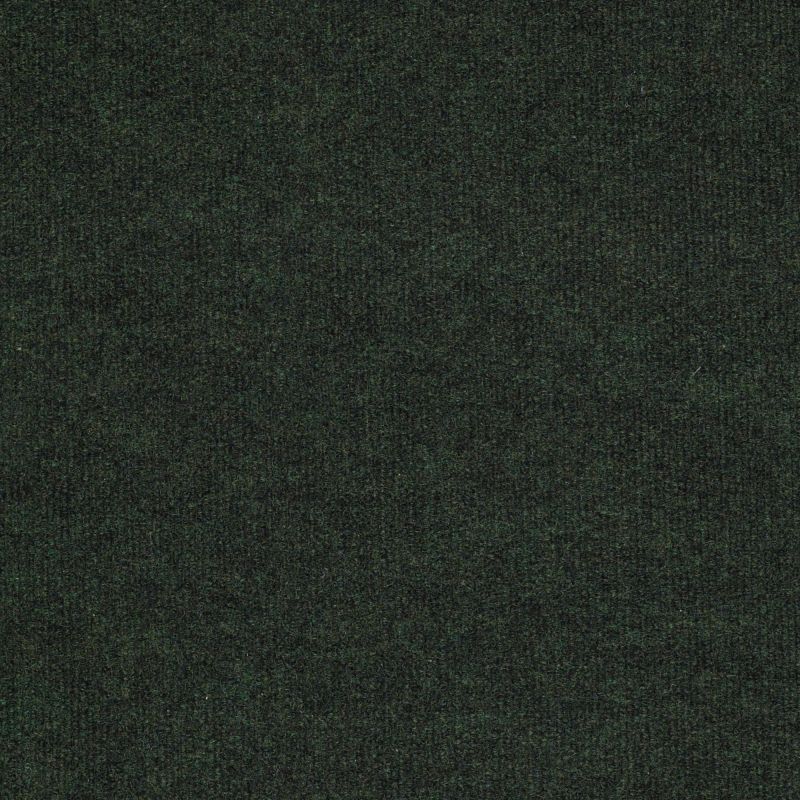 Philadelphia Commercial Backdrop I 6 Forest Night