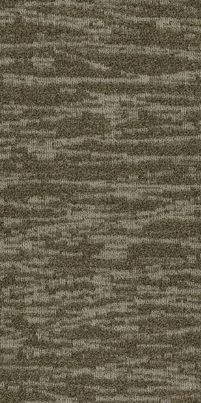 Philadelphia Commercial Modern Terrain Tidewater Salt Flat