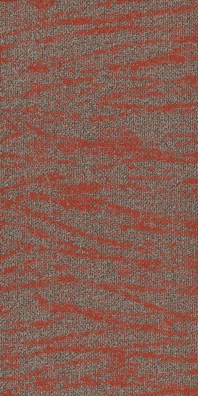 Philadelphia Commercial Modern Terrain Tidewater Miombo