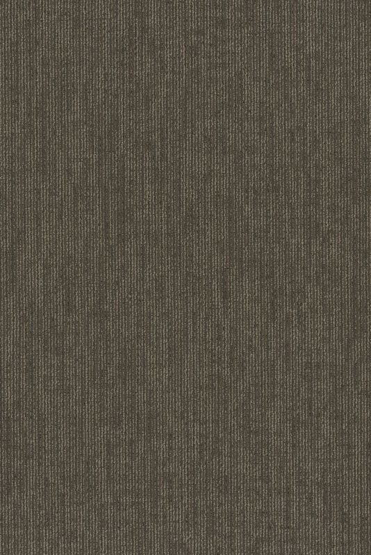 Philadelphia Commercial All Business Collection Function Conservative