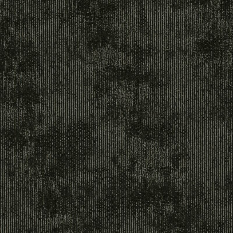 Shaw Floors Cultured Collection Biotic Collective