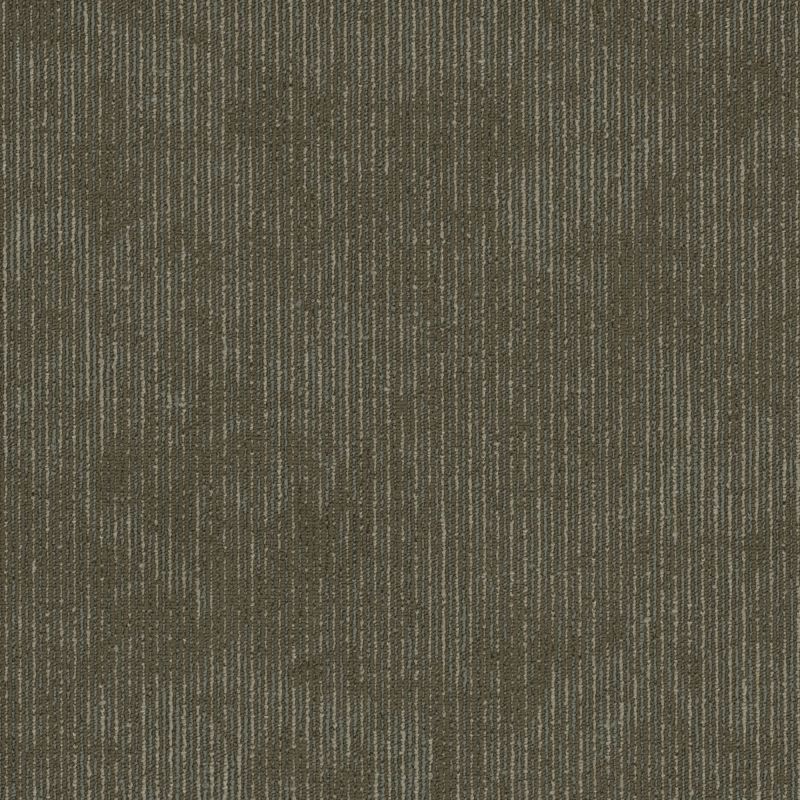 Shaw Floors Cultured Collection Biotic Distinction
