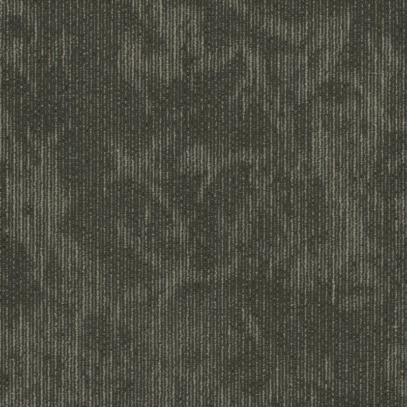 Shaw Floors Cultured Collection Esthetic Composition