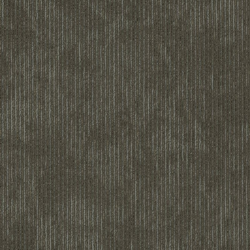 Shaw Floors Cultured Collection Esthetic Inherent