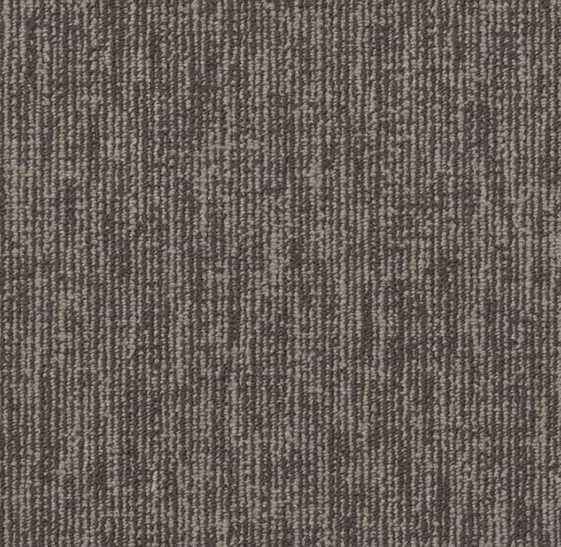 Philadelphia Commercial Fundamental Collection Engrain Organic