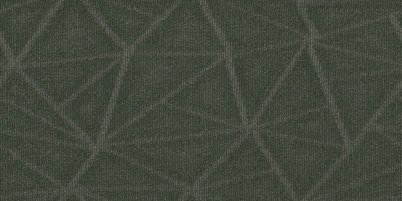 Philadelphia Commercial Fundamental Collection Refine Primitive
