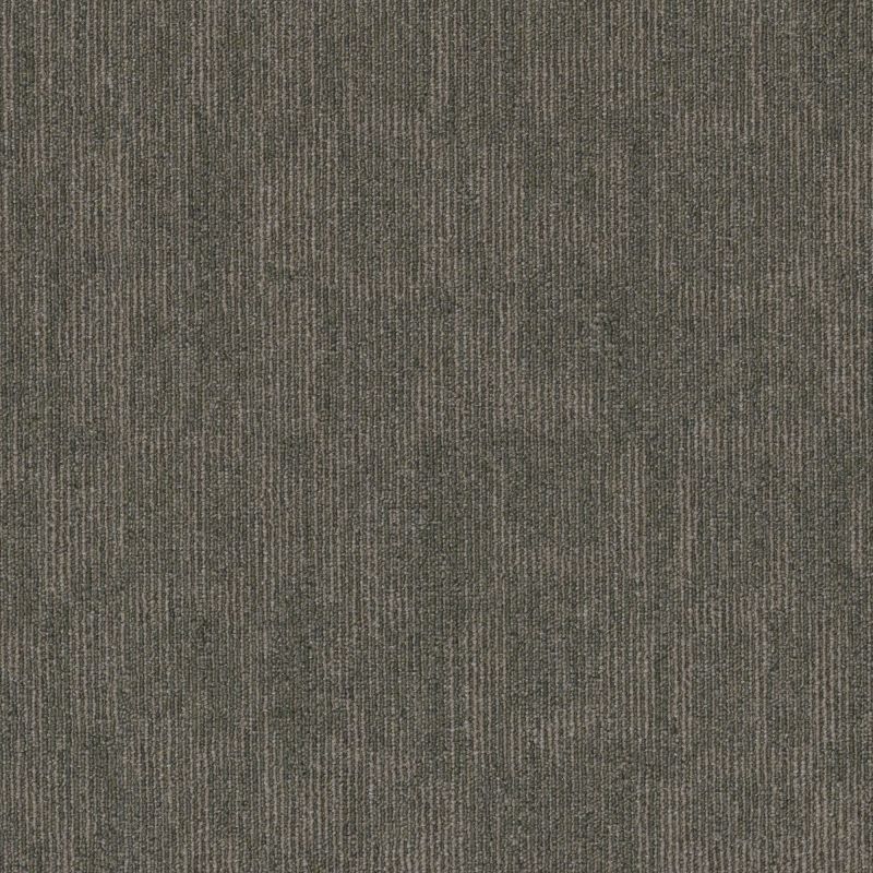 Shaw Floors Victory Collection Knock Out Triumph