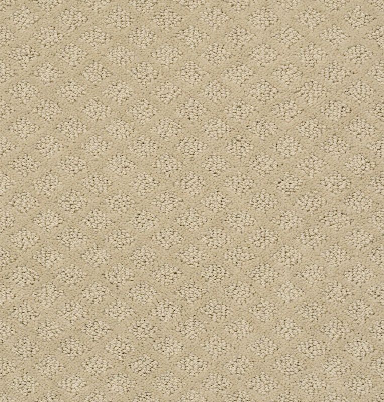 Shaw Floors Shaw Flooring Gallery Go Beyond Frost