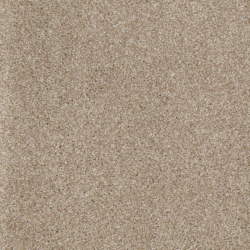 Shaw Floors Shaw Flooring Gallery Canvas Mushroom