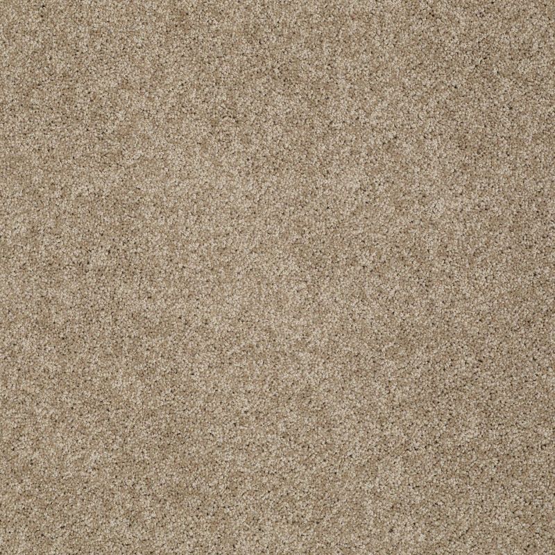 Shaw Floors Inspired By III Cappuccino