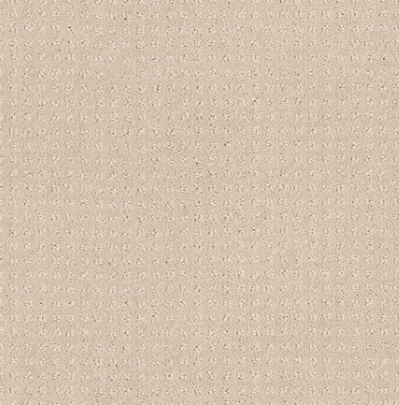 Shaw Floors Shaw Flooring Gallery Inspired By Pattern Bare Essence
