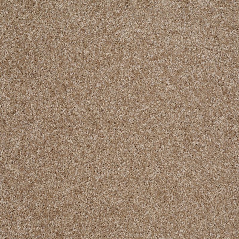 Shaw Floors Shaw Flooring Gallery Premier Role Veranda