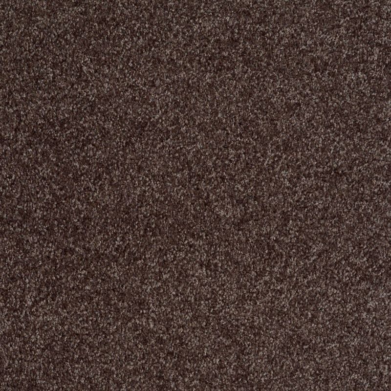 Shaw Floors Shaw Flooring Gallery Premier Role Mink