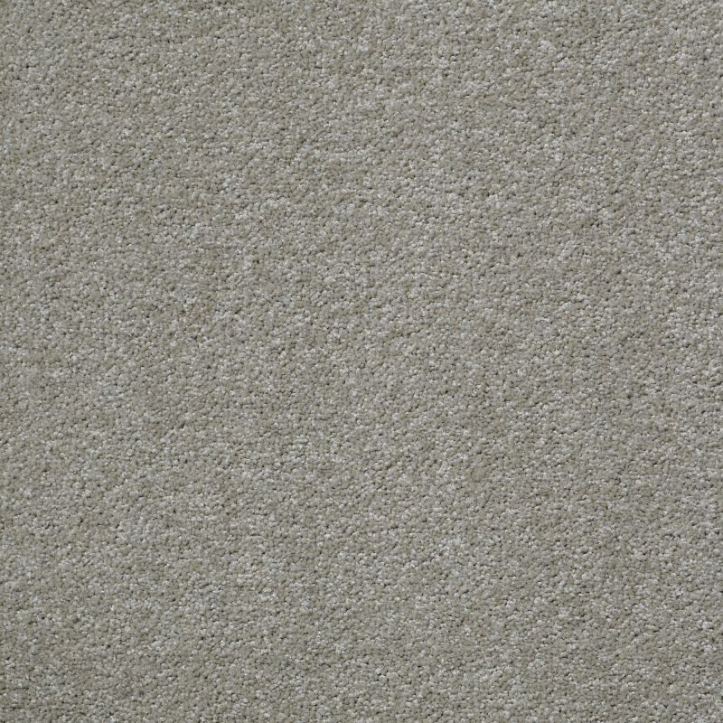 Shaw Floors Shaw Flooring Gallery Why Not Me Smooth Taupe