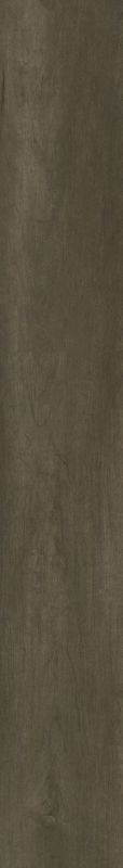 Philadelphia Commercial Resilient Commercial Philosopher's Tree Bronze
