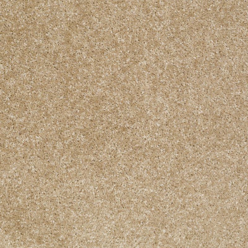 Shaw Floors Shaw Design Center Rose Creek Tweed