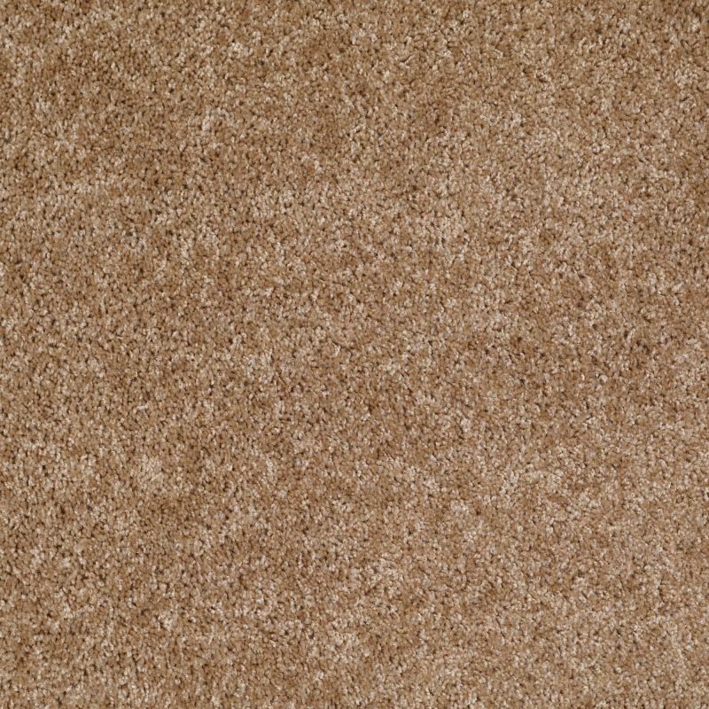 Shaw Floors Shaw Design Center Kentland 12' Veranda