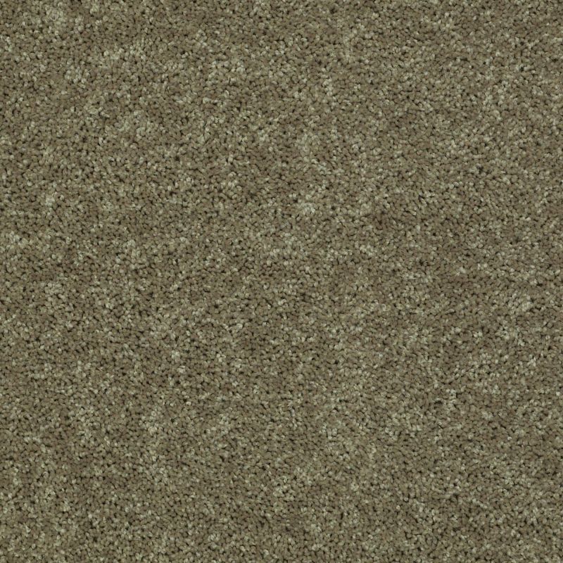 Shaw Floors Shaw Design Center Royal Portrush III 12' Aloe