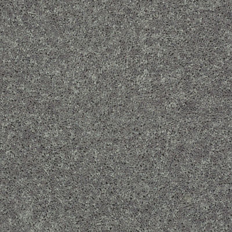 Shaw Floors Shaw Design Center Royal Portrush III 12' Ink Spot