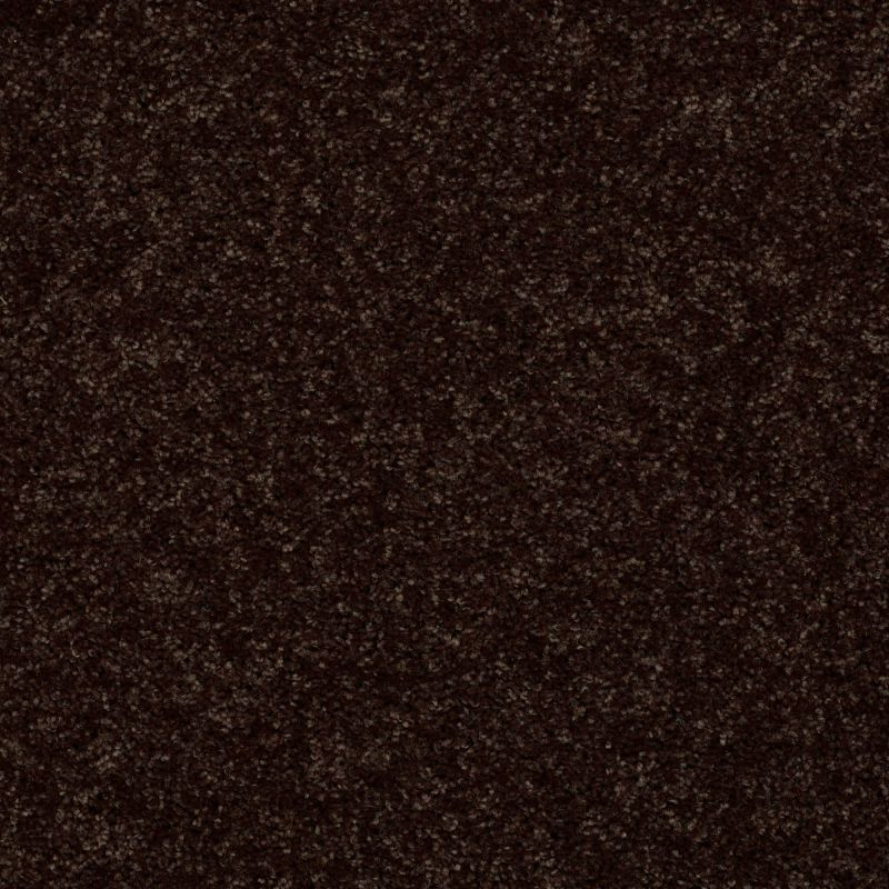 Shaw Floors Shaw Design Center Royal Portrush III 12' Coffee Bean