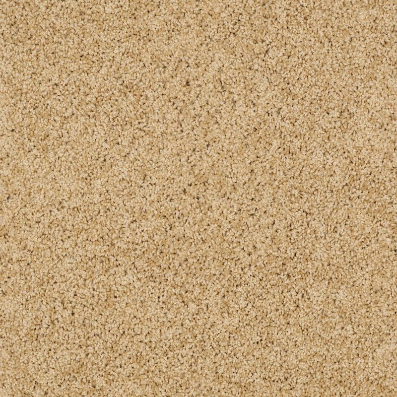 Shaw Floors Shaw Design Center Luxury Bay III Sun Shower