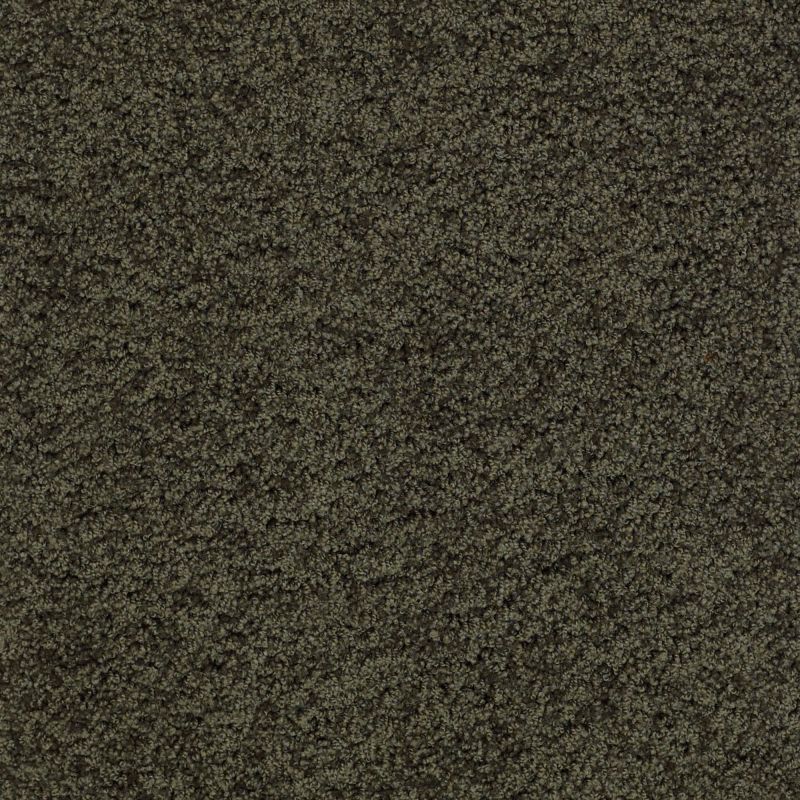 Shaw Floors Shaw Design Center Luxury Bay III Magic Emerald