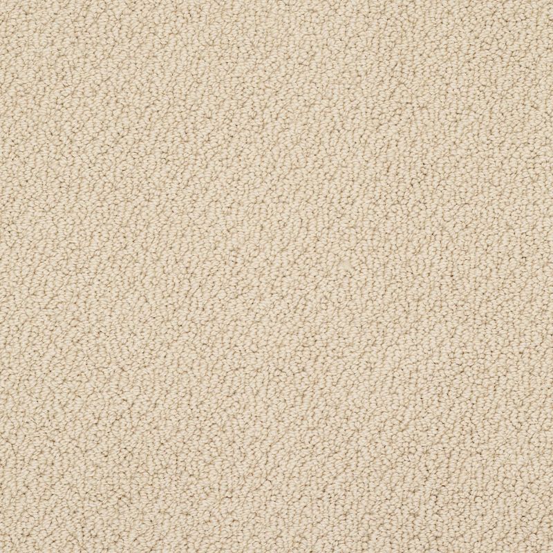 Shaw Floors Shaw Design Center Proven Identity Loop Mesa