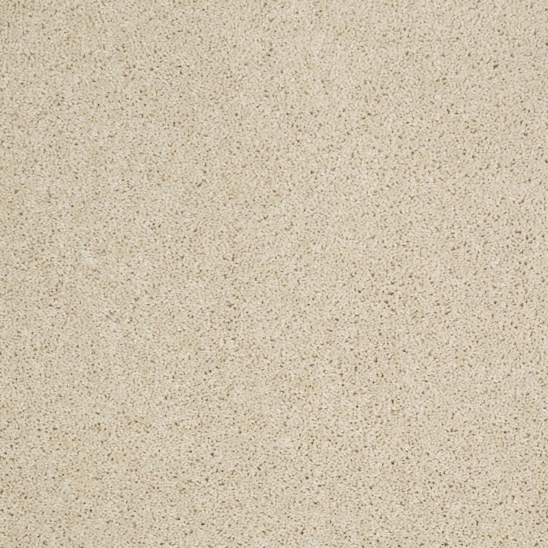 Shaw Floors Shaw Design Center Best Basics Linen