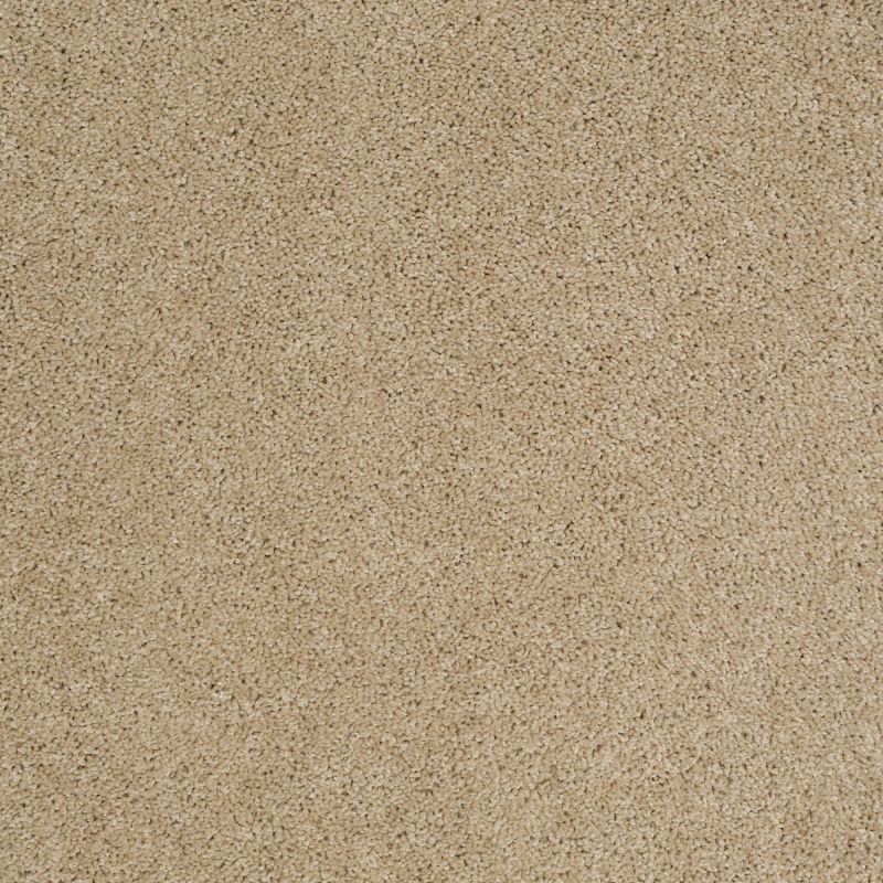 Shaw Floors Shaw Design Center Best Basics Field Stone