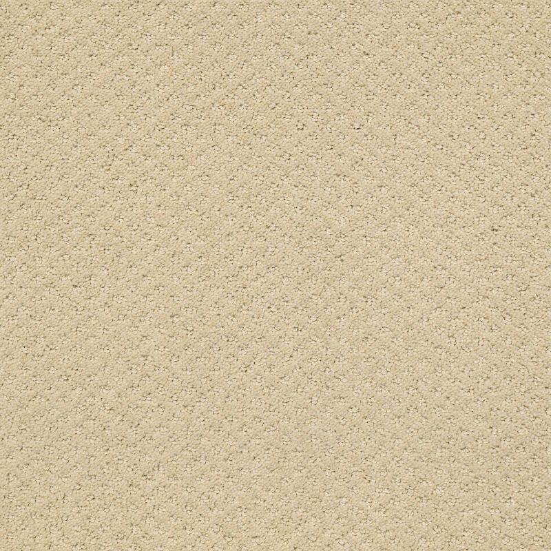 Shaw Floors Shaw Design Center Take Off Frost