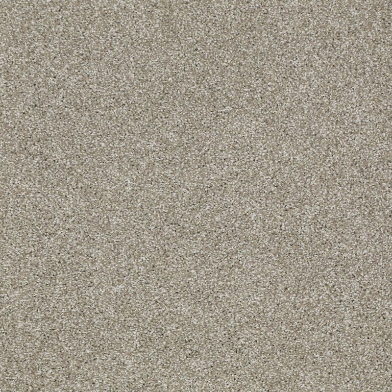 Shaw Floors Shaw Design Center Sun Drenched Gray Flannel
