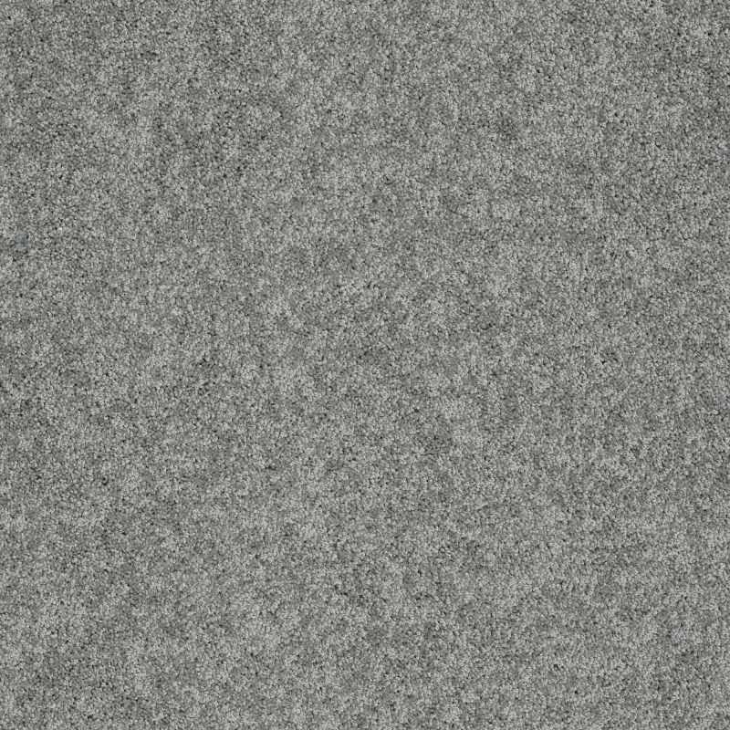 Shaw Floors Shaw Design Center My Destination II Charcoal