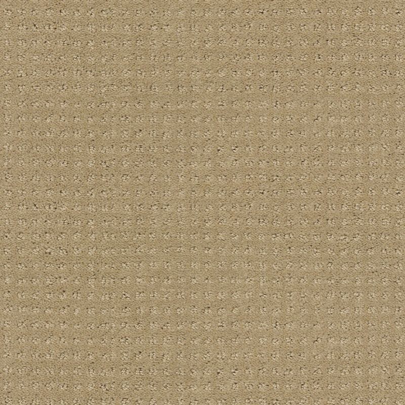 Shaw Floors Shaw Design Center My Destination Pattern Clay Stone