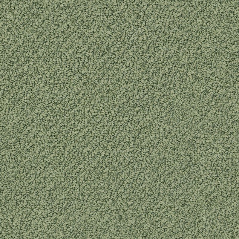 Shaw Floors Shaw Design Center True Reflections Loop Bay Laurel