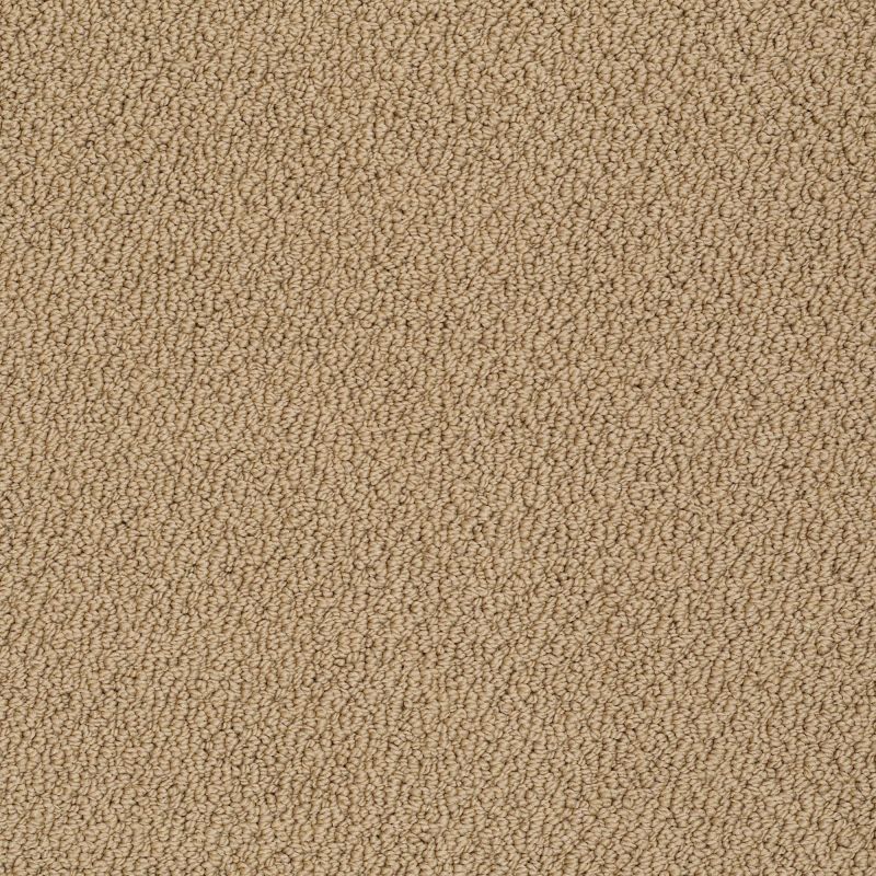Shaw Floors Shaw Design Center True Reflections Loop Honey Pot