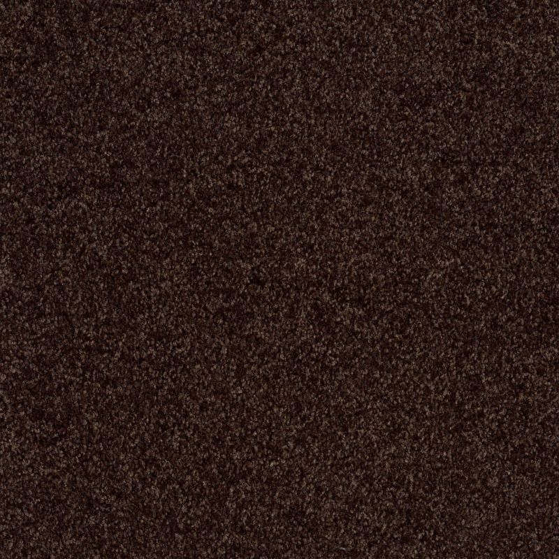 Shaw Floors Shaw Design Center Free Time Truffle
