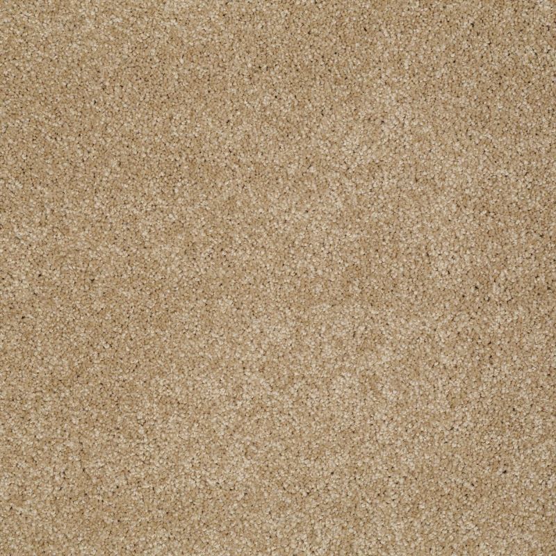 Shaw Floors Shaw Design Center Fantastical Oakwood