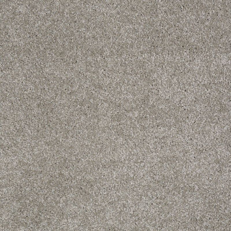 Shaw Floors Shaw Design Center Fantastical Radiance