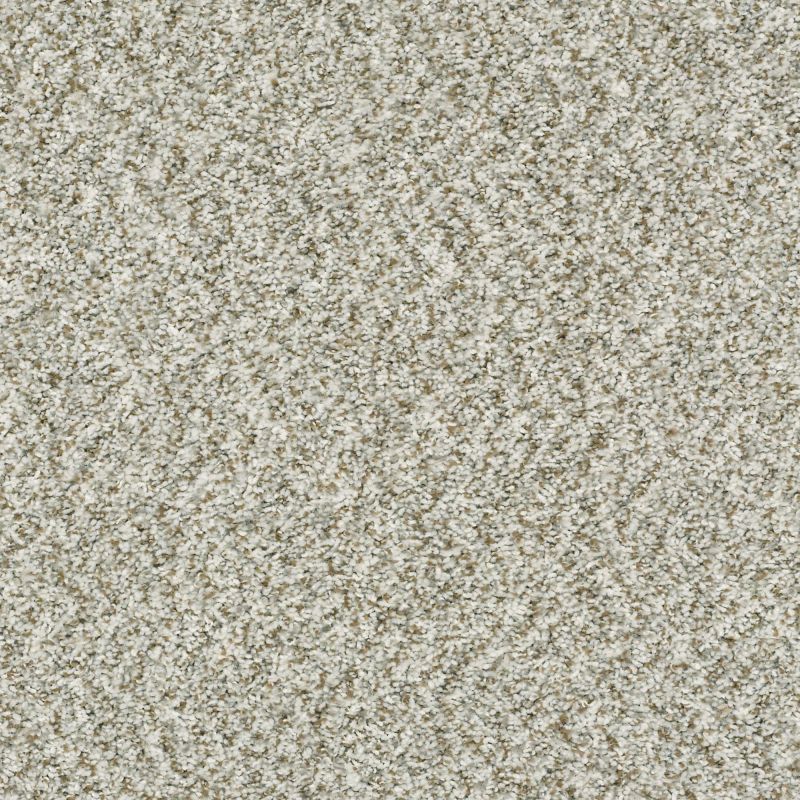 Shaw Floors Value Collections Cabana Bay (b) Net Winter
