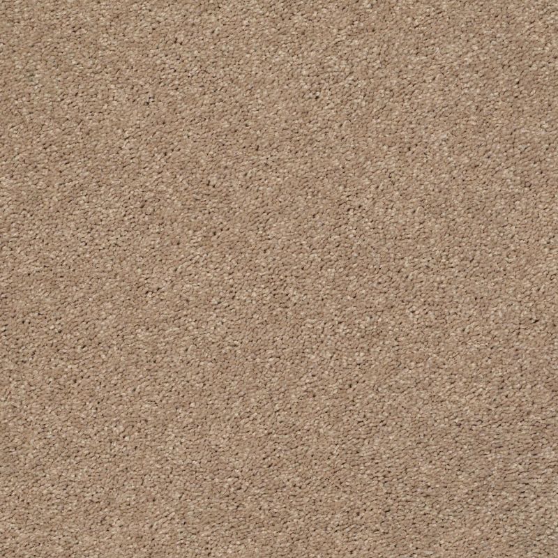 Shaw Floors Simply The Best Cabana Life Solid Net Camel