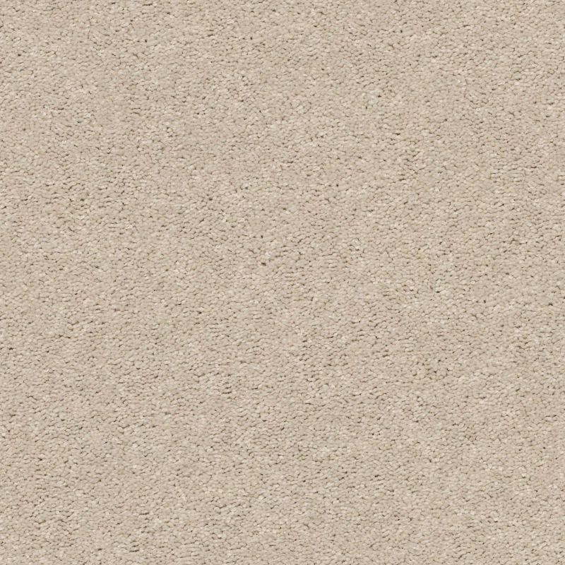 Shaw Floors Simply The Best Cabana Life Solid Net Sugar Cookie