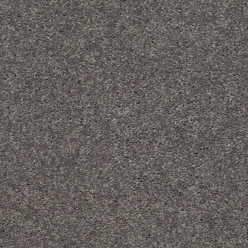 Shaw Floors Simply The Best Cabana Life Solid Net Tree Bark