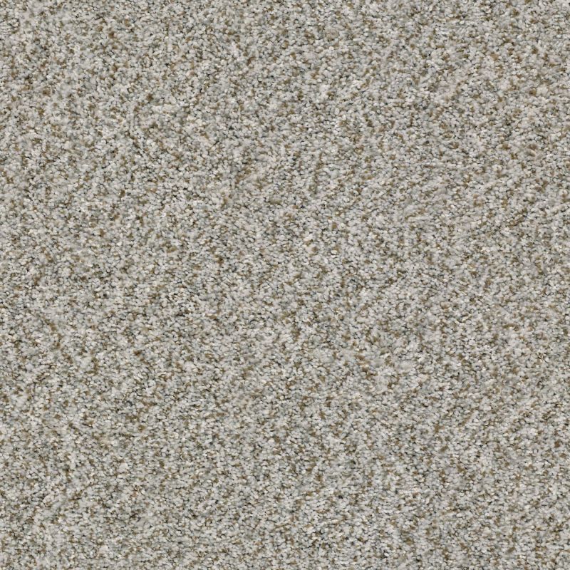 Shaw Floors Simply The Best Cabana Life (b) Net Stone